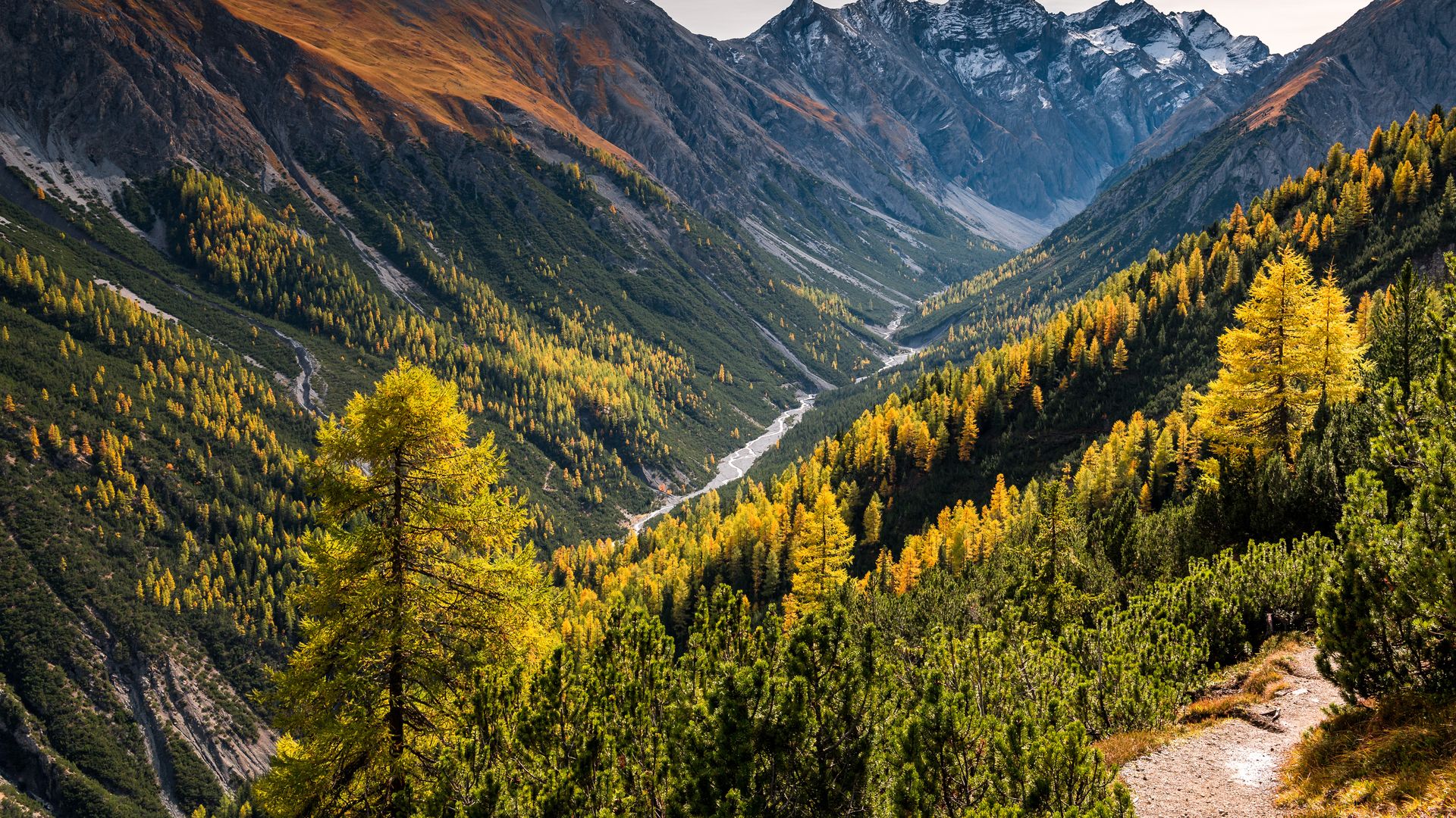 Schweizer Alpen